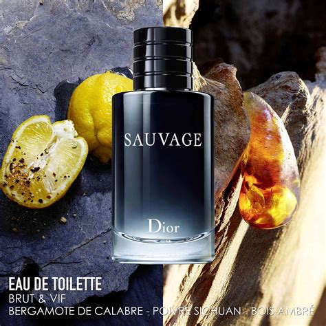 dior sauvage eau de toilette perfume|Dior eau sauvage toilette 200ml.